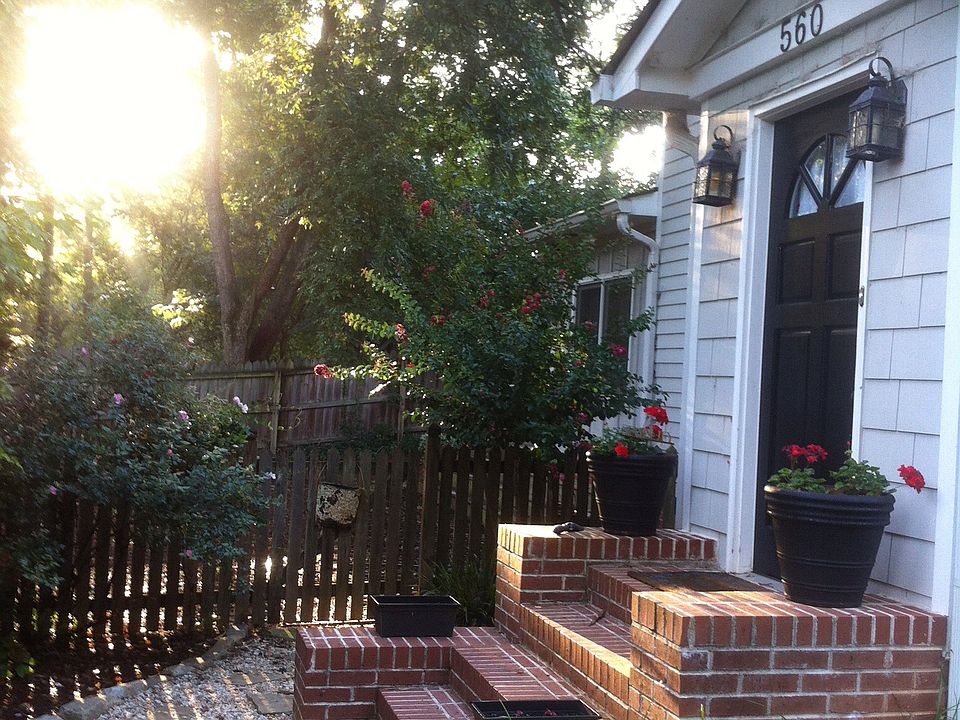 Morning at the cottage