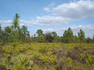 0411 Holopaw Groves Rd LOT 1, Holopaw, FL 34773