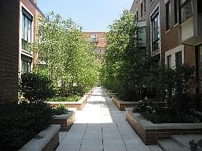 Courtyard view