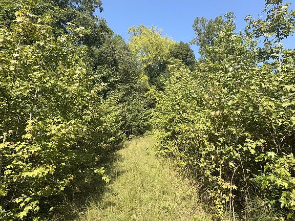 2nd image of 0 Flat Swamp Rd