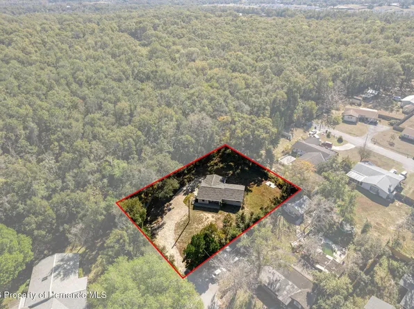 36450 Shady Ln, Dade City, FL 33525