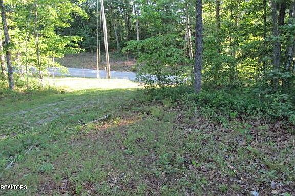 5th image of Green Ridge Trl