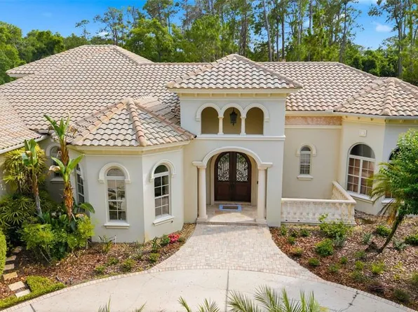 18901 Lakes Edge Way, Odessa, FL 33556