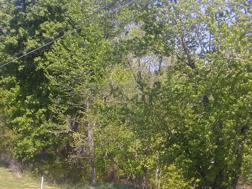 0 Rock Springs Rd, Charlotte, TN 37036 MLS 2247710 Zillow