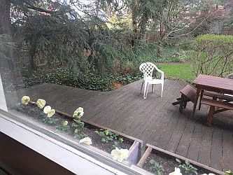 back patio and garden