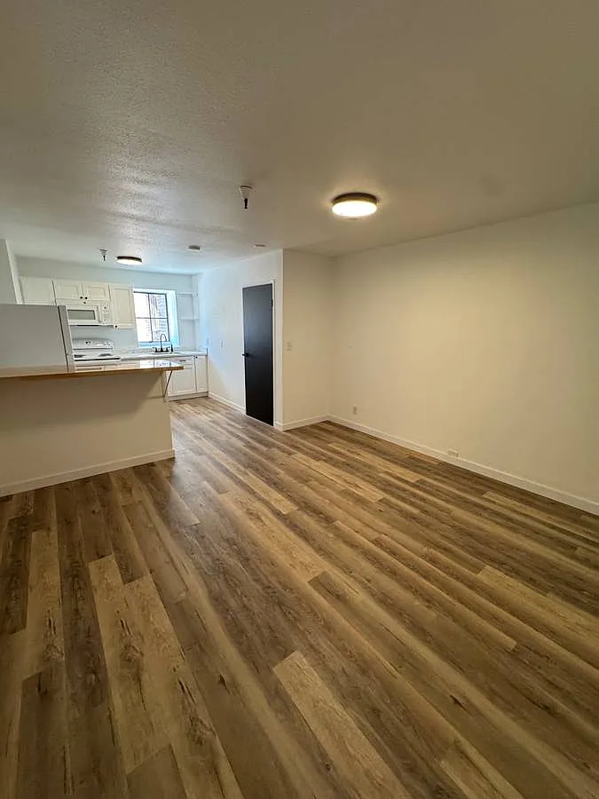 1 bed, 465 sqft, $1,175 — Photo 2