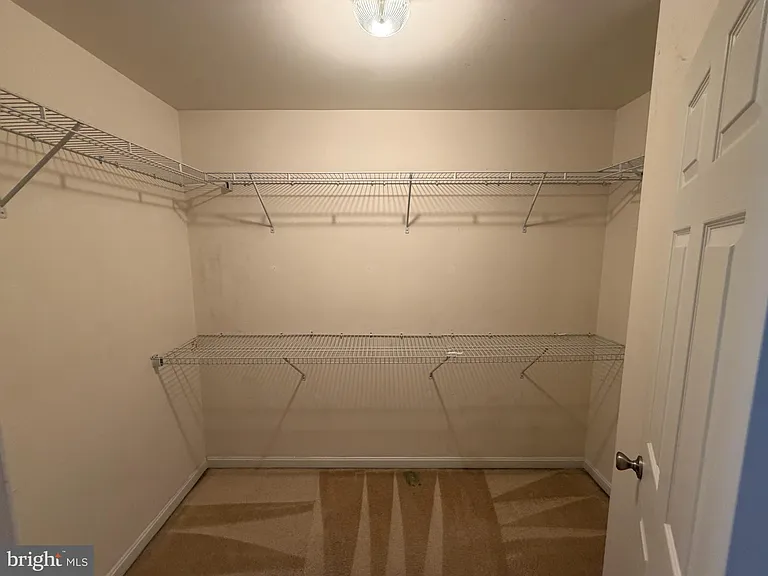 6006 Joseph Scott Dr — Photo 28