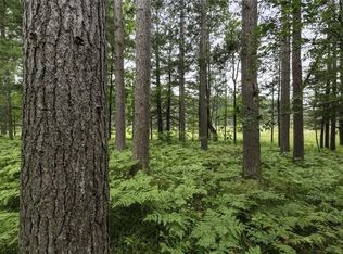LOT 10 Eleven Charles Ct, Hazelhurst, WI 54531
