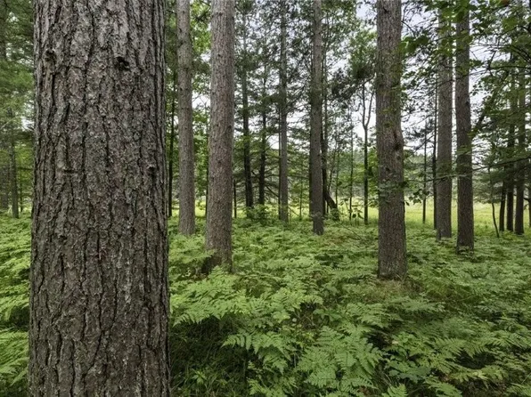 LOT 10 Eleven Charles Ct, Hazelhurst, WI 54531