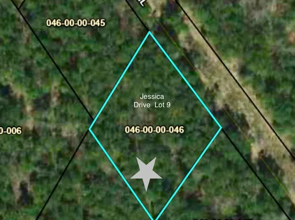 9 Jessica Dr, Williston, SC 29853