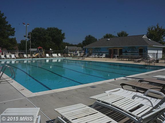 Olympic Size Pool and Pool House