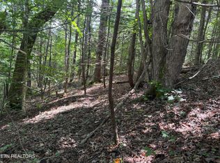 Cove Hollow Rd, Cosby, TN 37722