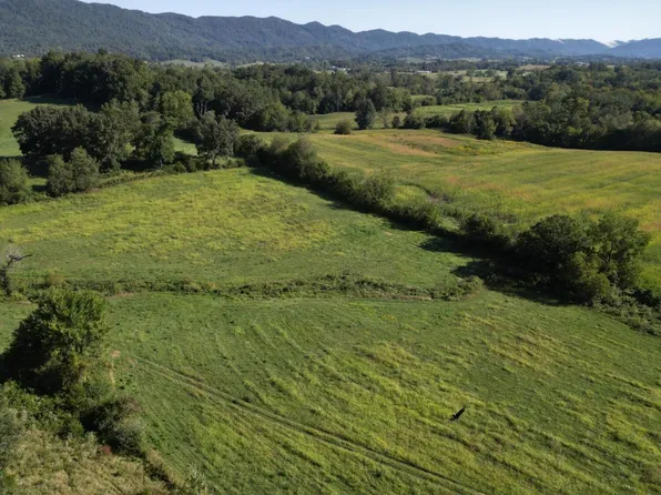 317 Singleton Hollow Rd Lot 3, Speedwell, TN 37870