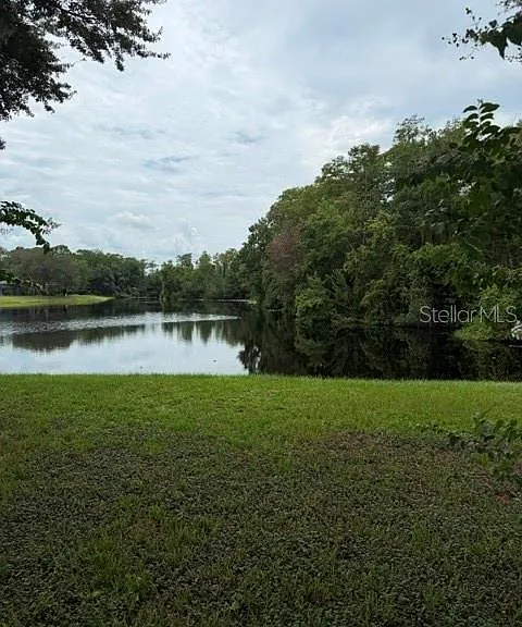10148 Pink Carnation Ct — Photo 32