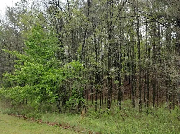 0 N Royal St, Jackson, TN 38301