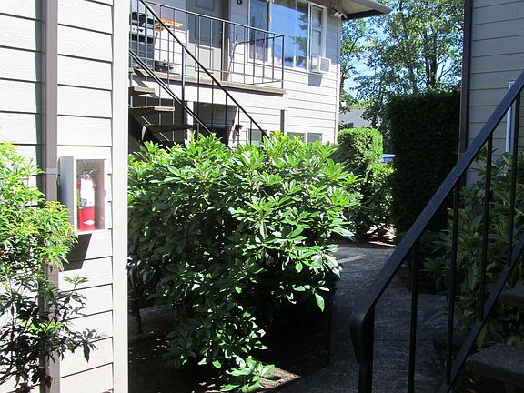 Quiet Courtyard Setting