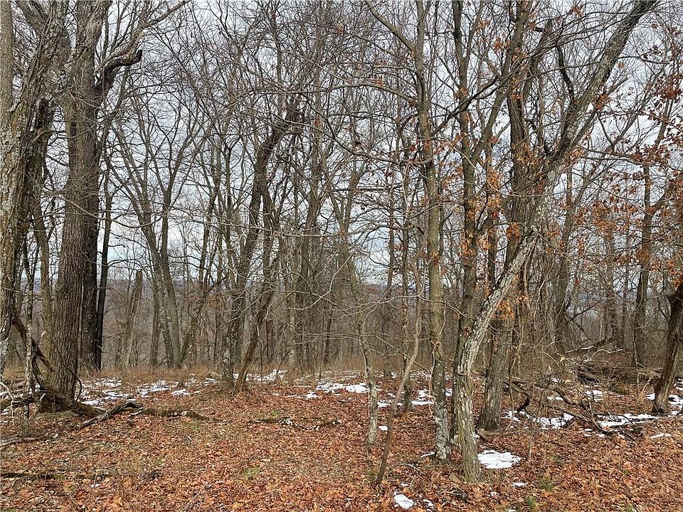 2nd image of Lodge Dr