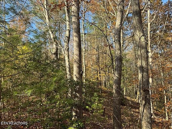 4th image of Bear Track Way