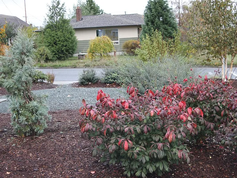 Exterior w/ outdoor living space