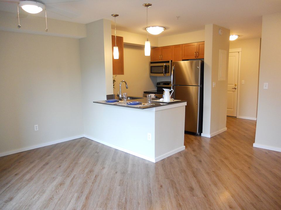 Sparkling quartz counters & stainless appliances