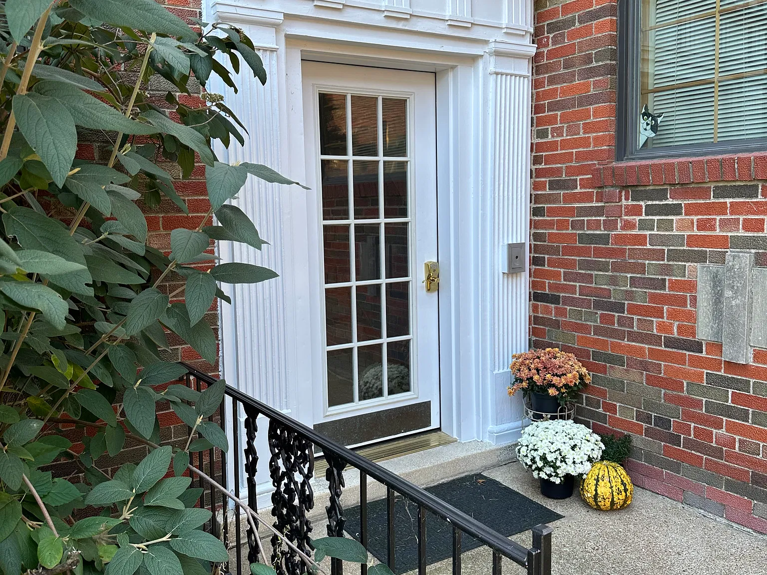 2 bed, 1200 sqft, $1,500 — Photo 1