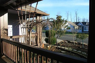 View from front porch