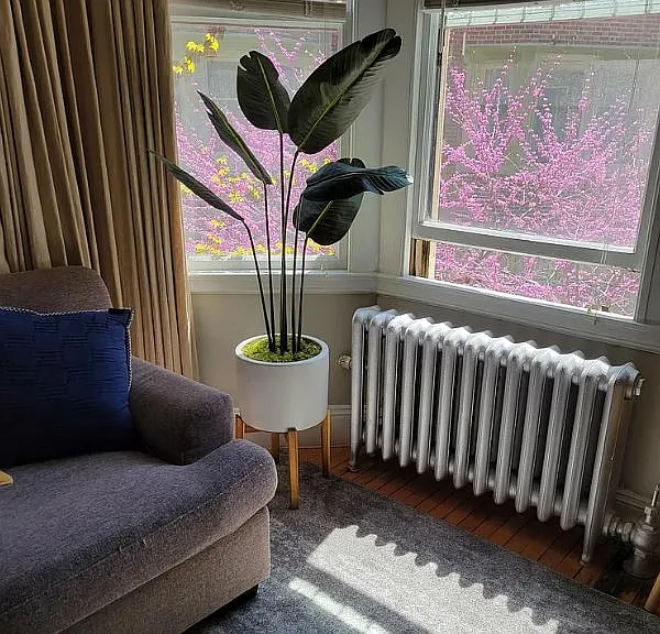 10 Dana St #215 — Photo 11