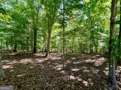 0 Creekwood Ct, Sandersville, GA, 31082