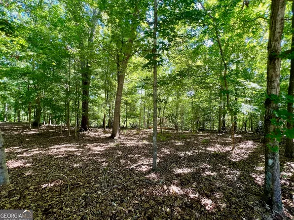 0 Creekwood Ct, Sandersville, GA 31082