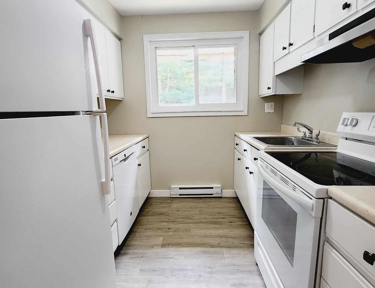 2 bed, 800 sqft, $950 — Photo 4