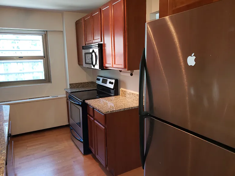 535 N Michigan Ave #1508 — Photo 9