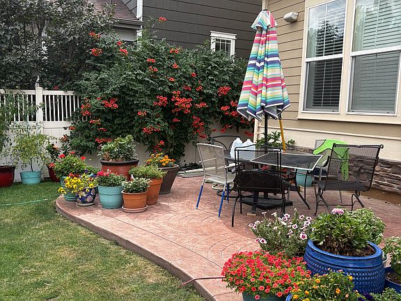 Backyard Patio