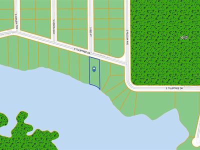 10124 E Tuliptree Dr, Inverness, FL, 34450