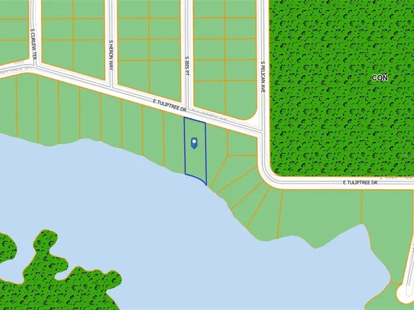10124 E Tuliptree Dr, Inverness, FL 34450