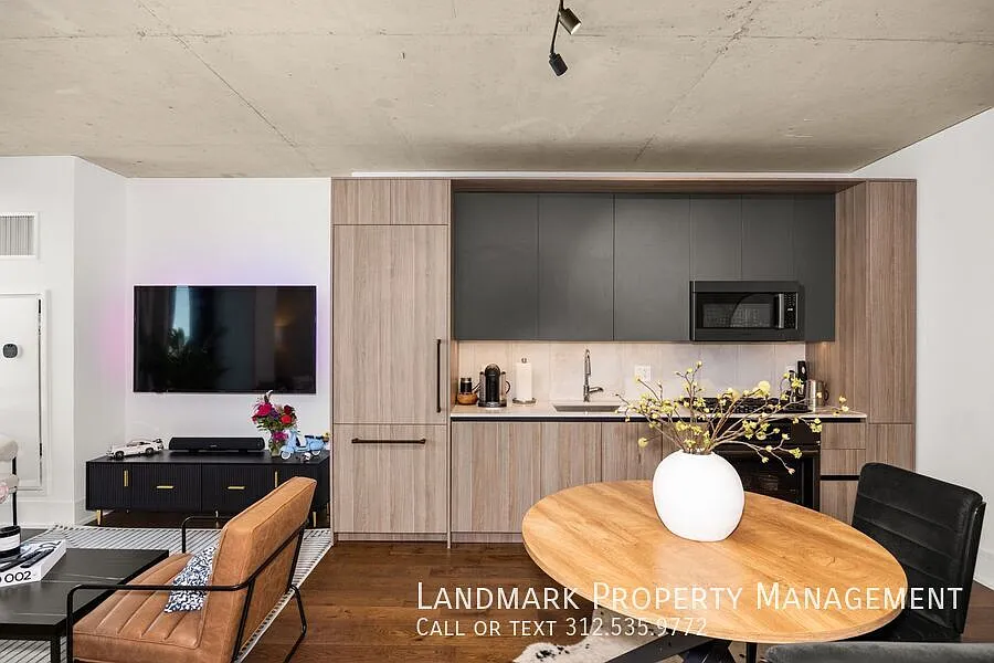 234 W Polk St Unit 2508 — Photo 3