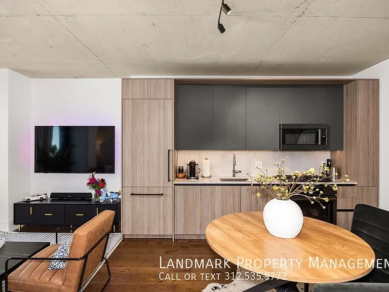 234 W Polk St #2508 — Photo 3