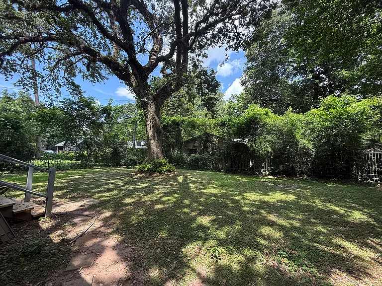 Large backyard