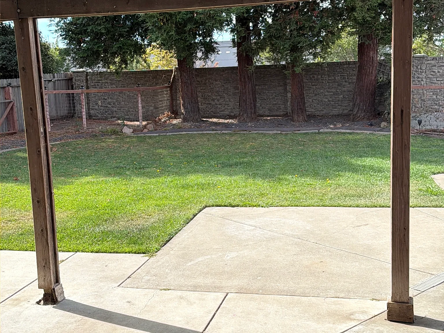 3 bed, 1488 sqft, $3,000 — Photo 3
