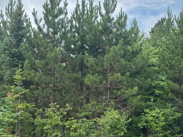 On Spring Creek Road 1081 W #1081 West, Rhinelander, WI 54501