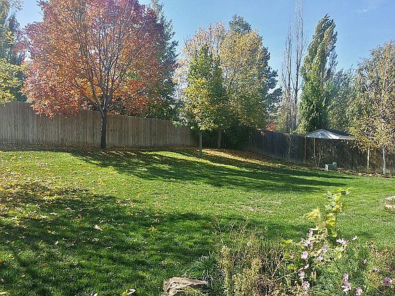 Backyard (fall 2014)