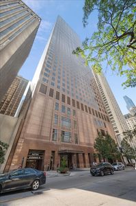 161 E Chicago Ave APT 56H, Chicago, IL, 60611