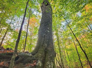 2955 Cherry Grove Rd, Ball Ground, GA 30107