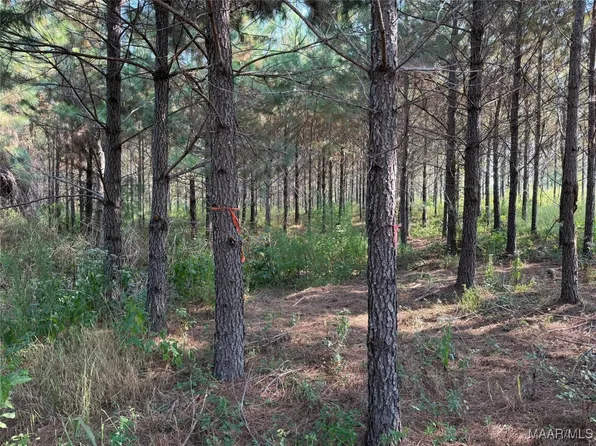 1 Grass Farm Rd, Titus, AL 36080