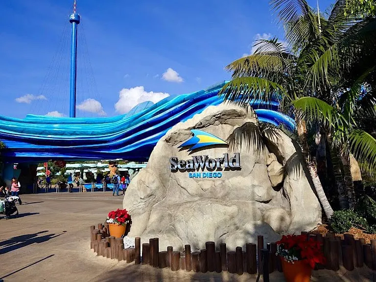 Making a splash at SeaWorld San Diego! Adventure and wonder around every turn!