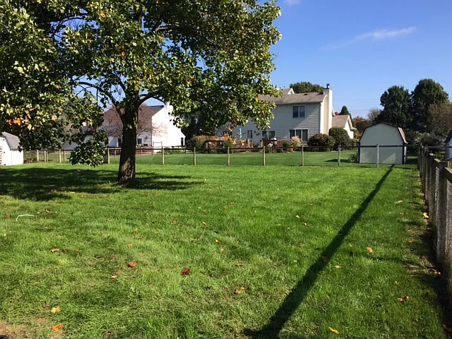 3 bed, 2.5 bath, 1623 sqft, $2,500 — Photo 4