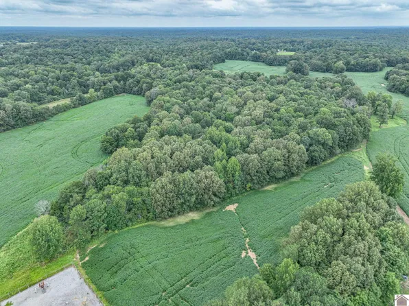 10900 State Route 408 E, Benton, KY 42025