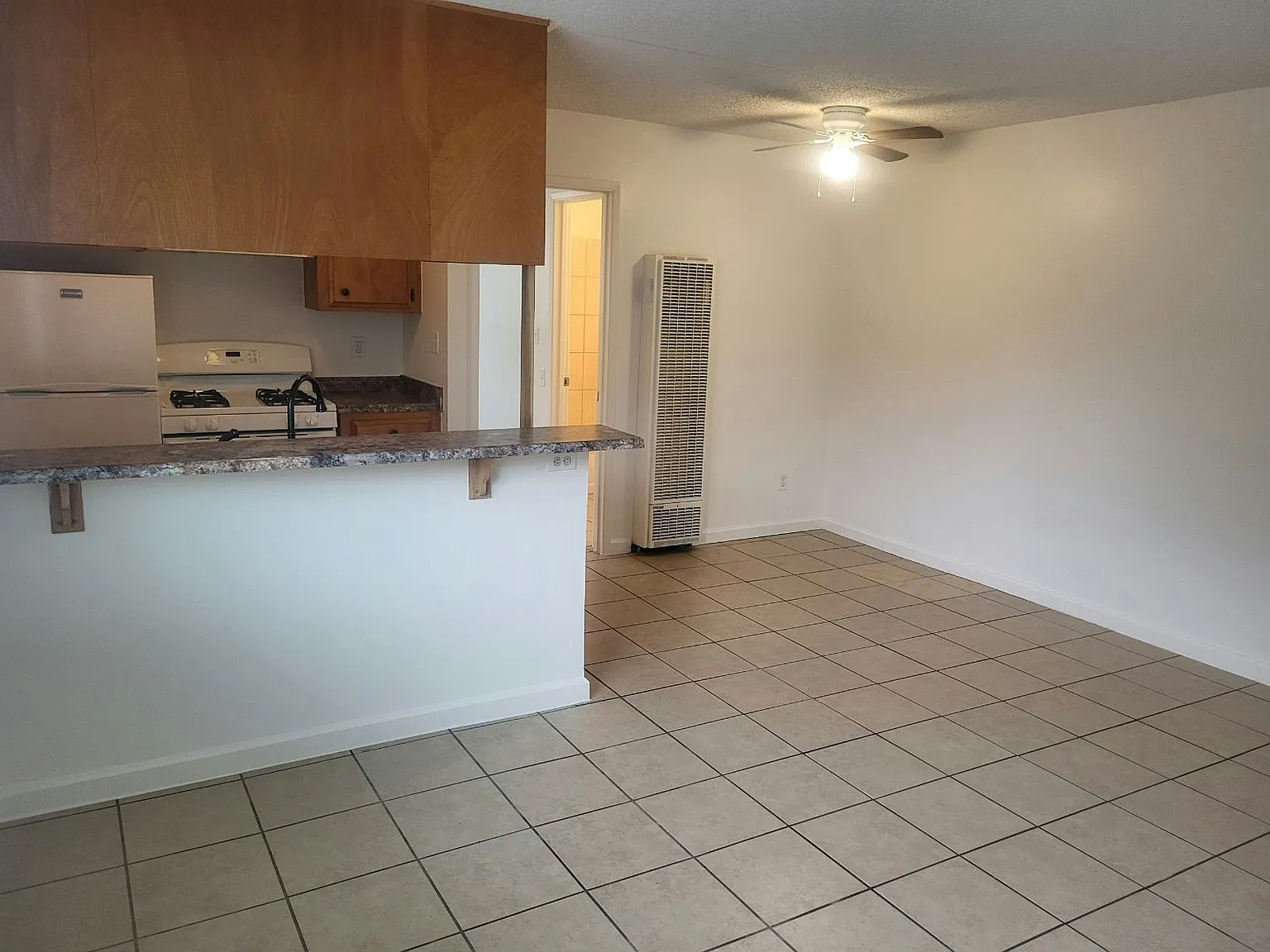 741 North Lincoln Street, Unit 1 — Photo 2