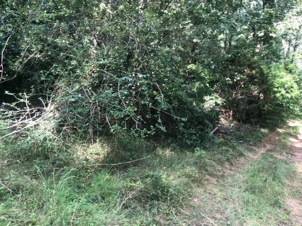 0 Kelly Rd #6, Phil Campbell, AL 35581