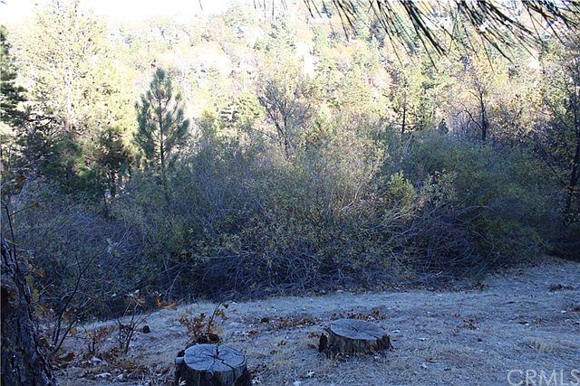 2nd image of 1255 Portillo Ln