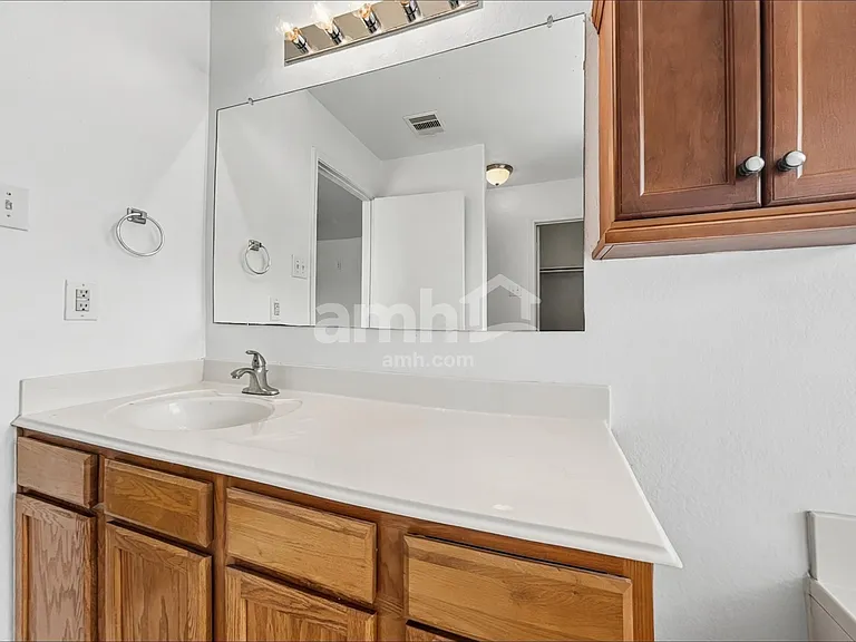 21447 Hannover Grove Ln — Photo 11